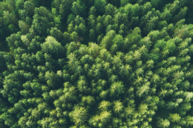 Sustainability Pledge
