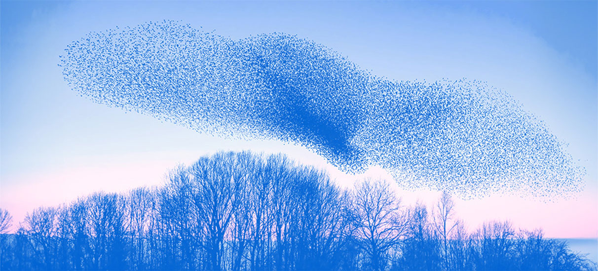 Why better brand cohesion can empower the climate movement