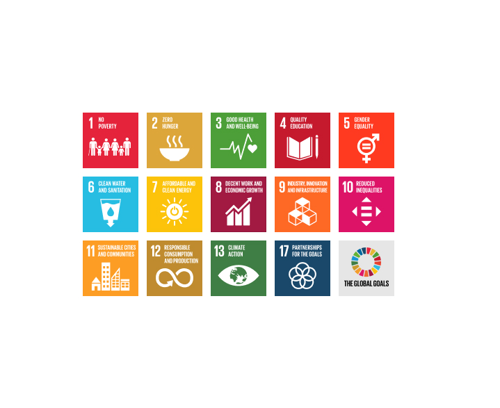 UN sustainable development goals