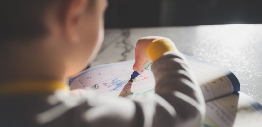 Education & Social services